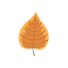 One autumn leaf. Vector flat icon illustration.