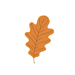 One autumn oak leaf. Vector flat icon illustration.