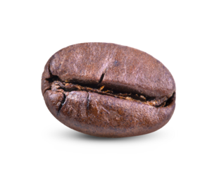  roasted coffee beans with leaves on transparent png