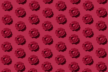 Creative pattern made of red rose buds on bright background. Minimal style.  Nature concept. Top view. Flat lay. Color of the year 2023 inspired