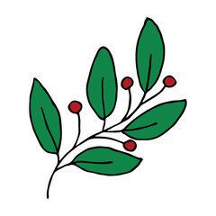 Hand drawn branch with berries and leaves. Christmas doodle. Winter clipart. Single design element