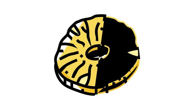 pineapple dried fruit color icon animation