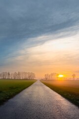 Vertical symmetric shot of a road through a green field at a soft sunset