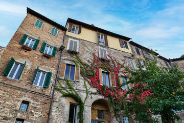 The façade of an Italian house, the shutters on the windows are open, ivy is braiding the wall.