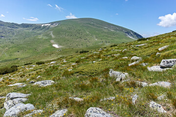 Summer view of Rila mountain near Belmeken Reservoir, Bulgaria