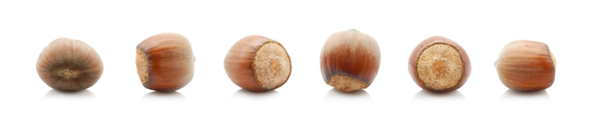 Set of hazelnut in shell isolated on white background