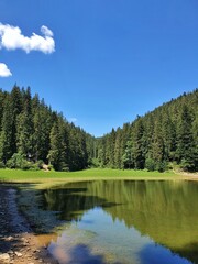 Obraz premium lake and forest