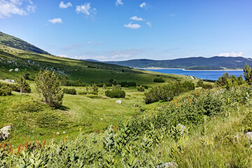 Fototapeta na wymiar Summer view of Rila mountain near Belmeken Reservoir, Bulgaria