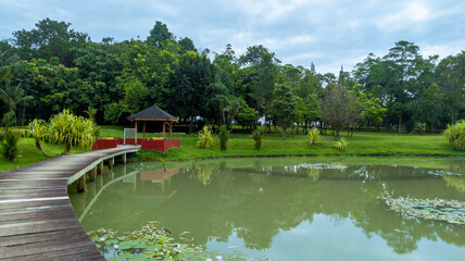 Fototapeta na wymiar landscape of a lake with a wooden bridge