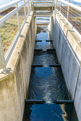 Obraz premium Cement Fish Ladder 2