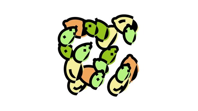 peeled pumpkin seeds color icon animation