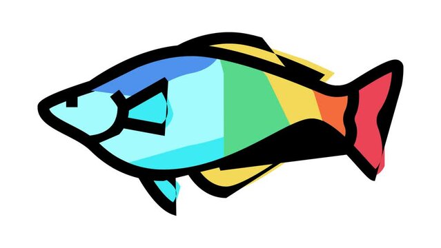 rainbowfish aquarium fish color icon animation