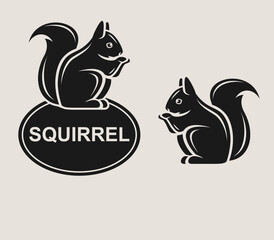 Squirrel set. Collection squirrel icons. Vector