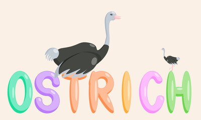 An educational ostrich cartoon character with the name of the animal. Isolated vector illustration.
