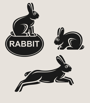 Rabbit and hare set. Collection rabbit icons. Vector