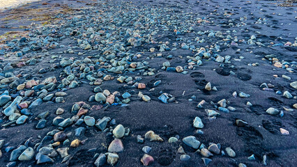 water drops on the beach