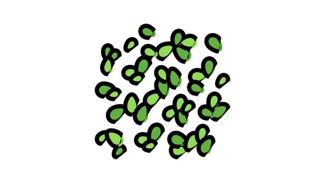 duckweed seaweed color icon animation