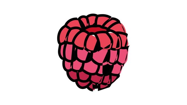 red raspberry ripe fruit color icon animation