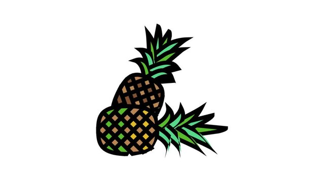 pineapple whole two color icon animation