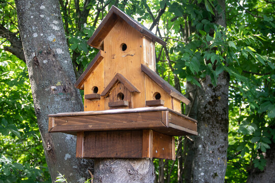 Hand made wooden shelter, bird house, placed on the tree in forest, birdwatchers stop place to enjoy ornithology 
