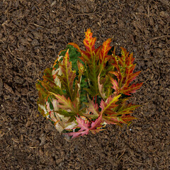 From the Window on the top floor