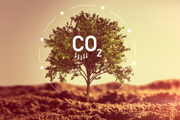 Carbon dioxide emissions, carbon footprint concept