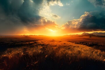 Naklejka na ściany i meble Tranquil sunset over a field. Great photo to show hope, peaceful view, travel and more. 