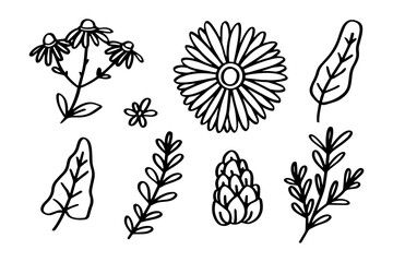 Set of Spring floral hand drawn line art illustration for ornament and design element