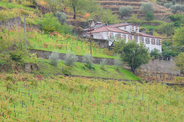 Naklejka premium Landscape and architectural views along the Douro Valley in Portugal