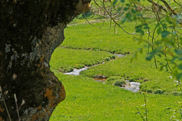 Ruisseau de Campagne fran&ccedil;aise