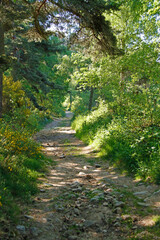 Chemin de randonnée Compostelle GR65