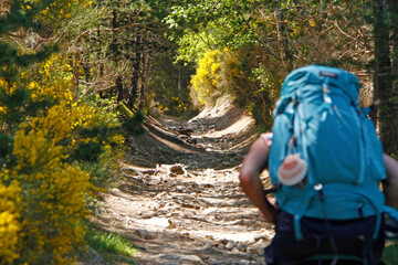 Chemin de randonn&eacute;e Compostelle GR65