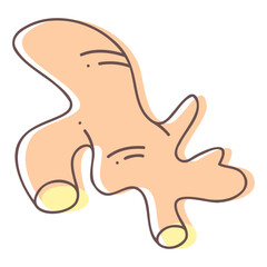 Ginger