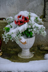 flowers on the lviv cemetery