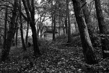 Autumn forest, among which there is an old house.On black and white background.