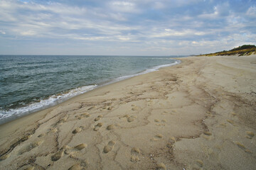 Sandy beach Baltic Sea Curonian spit.