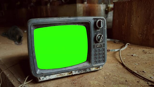 Old TV Green Screen Retro Style Television Dirty Place. Vintage television green screen abandoned on a dirty place with a cat eating behind it.
