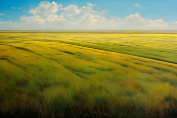 Fototapeta premium Beautiful golden pastures stretching to the horizon. 