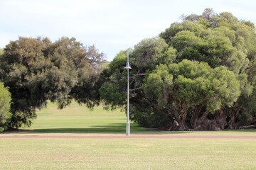Fototapeta na wymiar Sir James Mitchell Park in Perth in Australia 