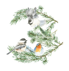 Watercolor christmas animal composition set. Birds in pine branches ,poinsettia, holly berry, winter forest plants, flora. Bouquet,frame, greeting card, poster, gift,sticker, printable, postcard, diy