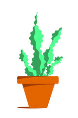 plant in a pot
