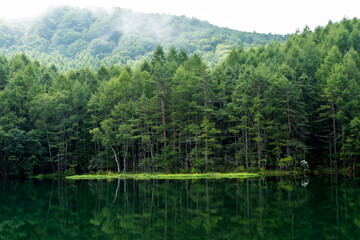 Mishakaike Pond, a beautiful summer landscape in the mountains lake among pine forests Tree reflections in the water at Shino Nagano, Japan.