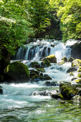 Scenery of Tateshina Otaki Waterfalls in summer surrounded by silence at Nagano,Japan.