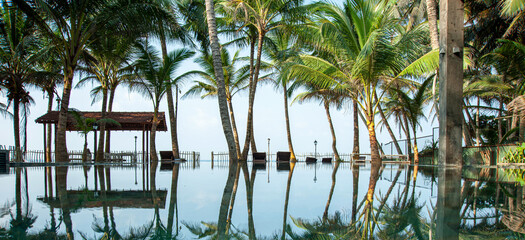 Reflection of Coconut trees from calm pool water- infinity pool Hikkaduwa Sri Lanka