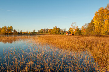 Fototapeta na wymiar Sunny autumn morning at lake Annsjön in county Östergötland, Sweden