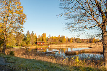 Autumn at lake Sottern in Svennevad in county Närke, Sweden