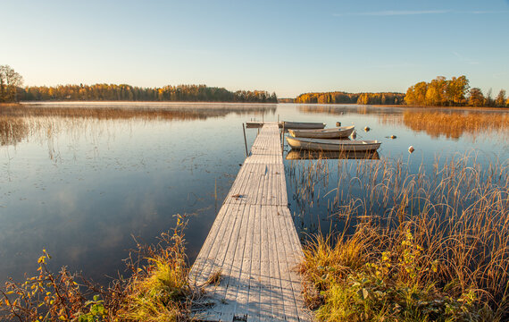 Sunny and frosty autumn morning at lake Annsj&ouml;n in county &Ouml;sterg&ouml;tland, Sweden