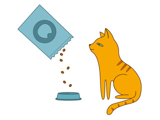 A funny ginger cat sits next to an empty bowl and watches how food is poured into it. Illustration on transparent background