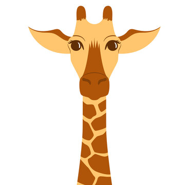 Portrait of a cute giraffe. Modern flat Illustration on transparent background