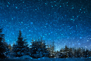Fototapeta na wymiar Winter Christmas landscape. White trees in forest and snowfall .